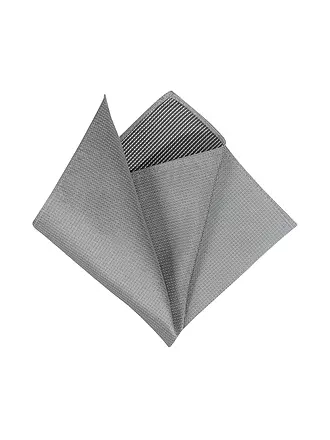 SEIDENFALTER | Pochette de costume | hellgrau